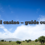 Stupid casino — guide complet