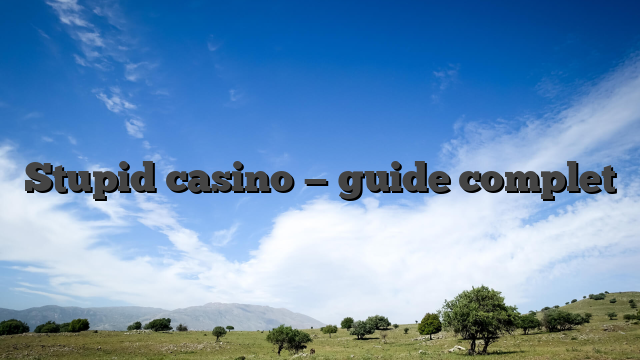 Stupid casino — guide complet