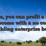 Sure, you can profit a real income with a no cost gambling enterprise bonus