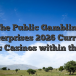 The Public Gambling enterprises 2026 Current Public Casinos within the July