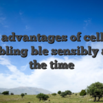 The advantages of cellular gambling ble sensibly all of the time