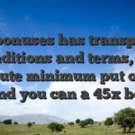 The bonuses has transparent conditions and terms, the absolute minimum put of ?25, and you can a 45x bet