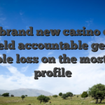 The brand new casino can’t be held accountable getting possible loss on the most other profile