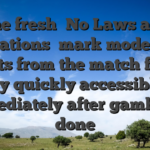 The fresh �No Laws and regulations� mark mode their profits from the match funds try quickly accessible immediately after gamble is done