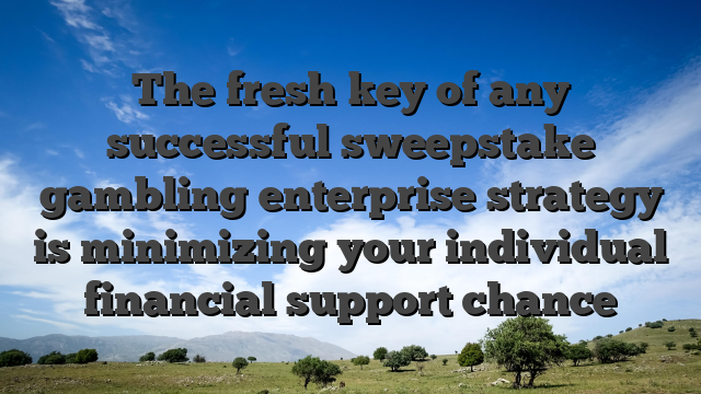 The fresh key of any successful sweepstake gambling enterprise strategy is minimizing your individual financial support chance