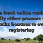 The fresh online casinos usually either promote users bucks bonuses to own registering