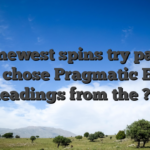 The newest spins try paid to your chose Pragmatic Enjoy headings from the ?0