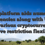 The platform aids numerous currencies along with USD and various cryptocurrencies to have restriction flexibility