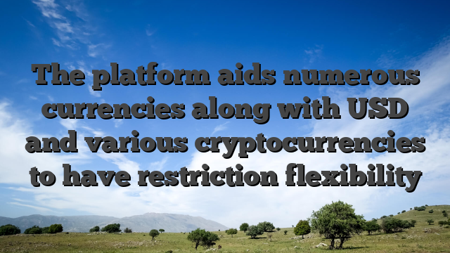 The platform aids numerous currencies along with USD and various cryptocurrencies to have restriction flexibility