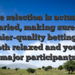 The selection is actually varied, making sure a premier-quality betting feel for both relaxed and you may major participants