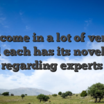 They come in a lot of versions and each has its novel lay regarding experts