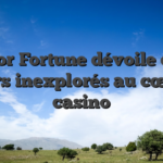 Thor Fortune dévoile des trésors inexplorés au cœur du casino