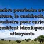 Timbre pourboire avec opportune, le cashback, et de ce pourboire pour cartouche ressemblent identiquement attrayants