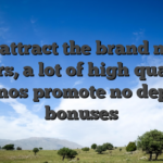 To attract the brand new users, a lot of high quality casinos promote no deposit bonuses