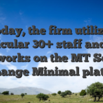 Today, the firm utilizes particular 30+ staff and you will works on the MT Secure Exchange Minimal platform