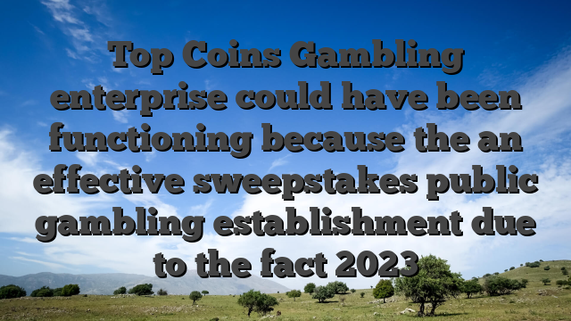 Top Coins Gambling enterprise could have been functioning because the an effective sweepstakes public gambling establishment due to the fact 2023