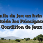 Top Salle de jeu un brin 2026 : Guide les Principaux Condition de jeux