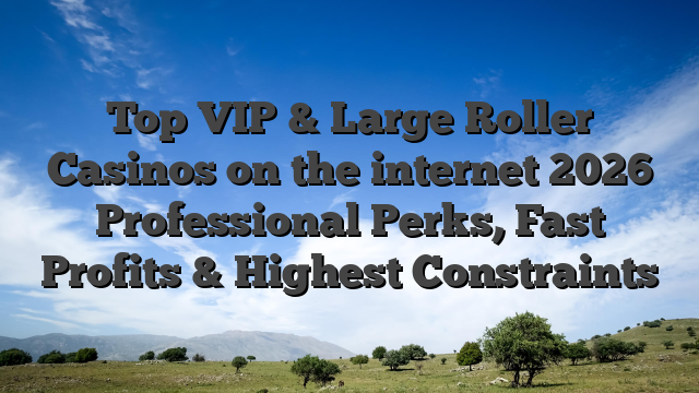 Top VIP & Large Roller Casinos on the internet 2026 Professional Perks, Fast Profits & Highest Constraints