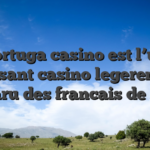 Tortuga casino est l’un naissant casino legerement apparu des francais de 2020