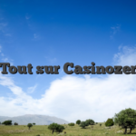 Tout sur Casinozer