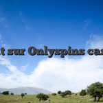 Tout sur Onlyspins casino