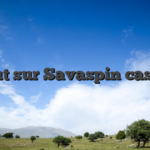 Tout sur Savaspin casino