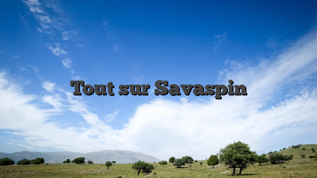 Tout sur Savaspin