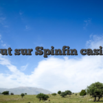 Tout sur Spinfin casino