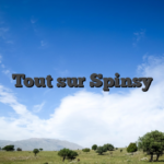 Tout sur Spinsy