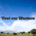Tout sur Westace