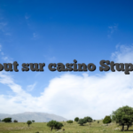Tout sur casino Stupid