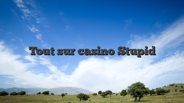 Tout sur casino Stupid