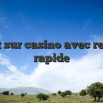 Tout sur casino avec retrait rapide