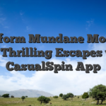 Transform Mundane Moments into Thrilling Escapes with CasualSpin App
