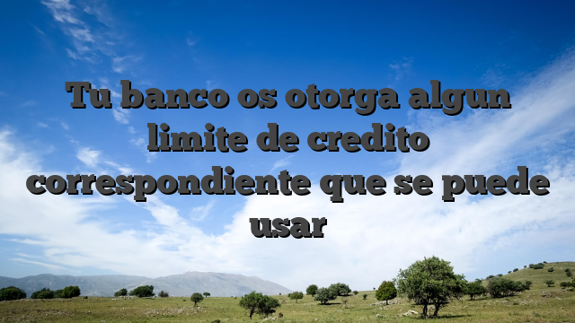 Tu banco os otorga algun limite de credito correspondiente que se puede usar