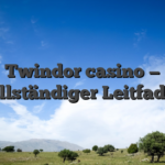 Twindor casino — vollständiger Leitfaden