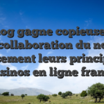 Un blog gagne copieusement sa collaboration du notre classement leurs principaux casinos en ligne fran is