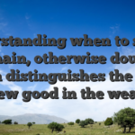 Understanding when to strike, remain, otherwise double down distinguishes the fresh new good in the weak