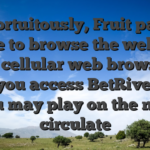 Unfortuitously, Fruit pages have to browse the website via a cellular web browser to help you access BetRives and you may play on the new circulate