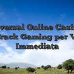 Universal Online Casino – Fast‑Track Gaming per Vincite Immediata
