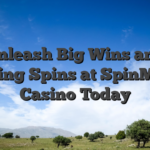 Unleash Big Wins and Thrilling Spins at SpinMyWin Casino Today