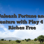 Unleash Fortune and Adventure with Play 4 Pots Riches Free