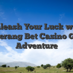 Unleash Your Luck with Boomerang Bet Casino Games Adventure