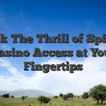 Unlock The Thrill of Spinania Casino Access at Your Fingertips