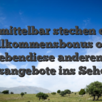 Unmittelbar stechen das Willkommensbonus oder ebendiese anderen Bonusangebote ins Sehorgan