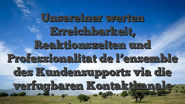 Unsereiner werten Erreichbarkeit, Reaktionszeiten und Professionalitat de l’ensemble des Kundensupports via die verfugbaren Kontaktkanale