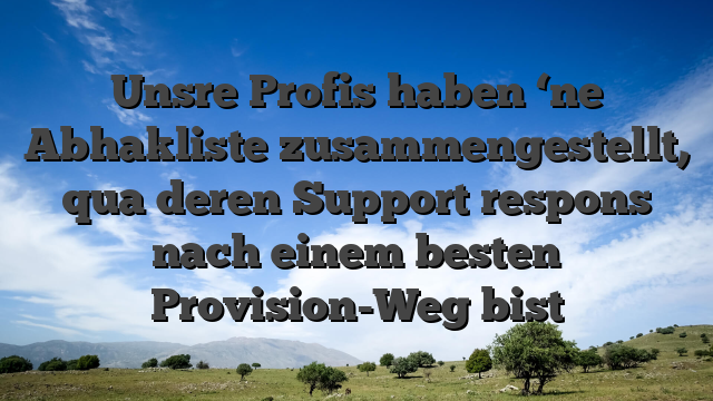 Unsre Profis haben ‘ne Abhakliste zusammengestellt, qua deren Support respons nach einem besten Provision-Weg bist