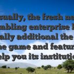 Usually, the fresh new gambling enterprise has actually additional the new online game and features to help you its institution