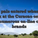 V., a pals entered when you look at the Curacao one to runs numerous on-line casino brands