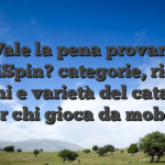 Vale la pena provare VinciSpin? categorie, ricerca giochi e varietà del catalogo per chi gioca da mobile
